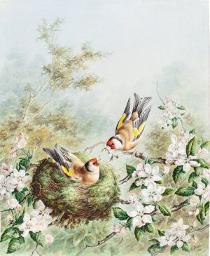 Gold Finches and Their Nest in an Apple Tree by Harry Bright Oil Painting