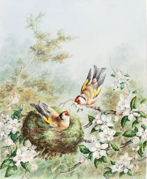 Gold Finches and Their Nest in an Apple Tree by Harry Bright Oil Painting