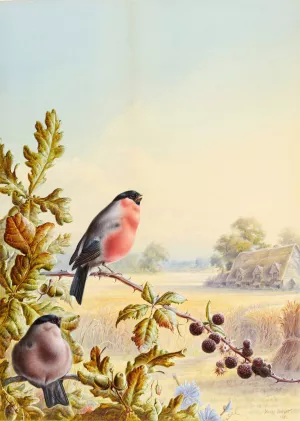 Summer - A Pair of Bullfinch by Harry Bright Oil Painting