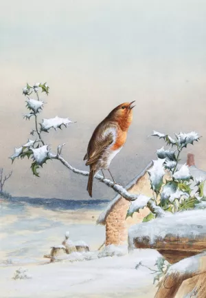 Winter - A Cock Robin by Harry Bright Oil Painting