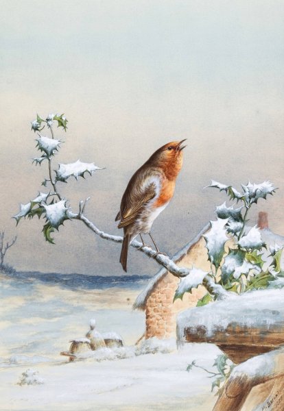 Winter - A Cock Robin by Harry Bright - Hand-Painted Oil Painting Reproduction
