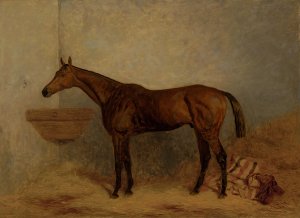 Isonomy, a bay colt in a stall by Harry Hall Oil Painting