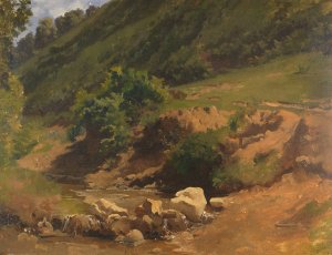 Steiler Hang mit Bachgrund by Heinrich Dreber Oil Painting