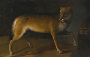 A Wolf In A Landscape by Heinrich Lihl Oil Painting
