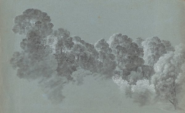 Forest Treetops Struck by Light  by Heinrich Rieter - Hand-Painted Oil Painting Reproduction