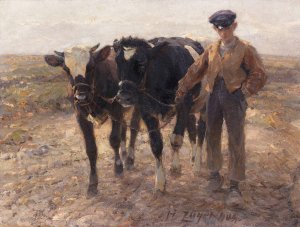 Hirte mit Jungrindern auf der Heide by Heinrich Von Zugel Oil Painting