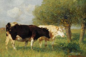 Two Cows in a Meadow