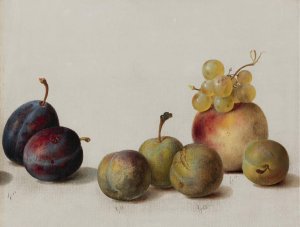 Plums, Peach And Grapes by Helen Searle Oil Painting
