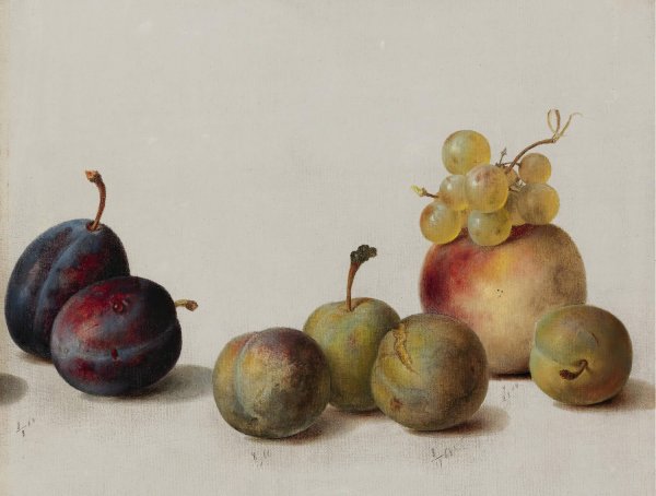 Plums, Peach And Grapes  by Helen Searle - Hand-Painted Oil Painting Reproduction