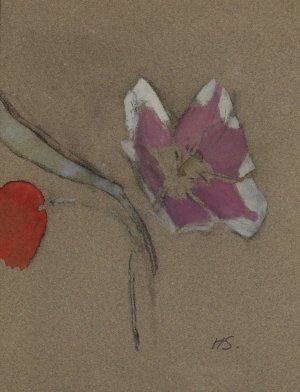 Anemone by Helene Schjerfbeck Oil Painting