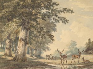 Deer under Beech Trees in Winter by Hendrik Gerrit Ten Cate Oil Painting