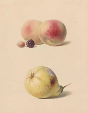 Perzik, braam en hazelnoot en een peer by Hendrik Reekers Oil Painting