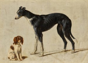 A Seated Cavalier King Charles Spaniel and a Standing Greyhound by Hendrik Stokvisch Oil Painting