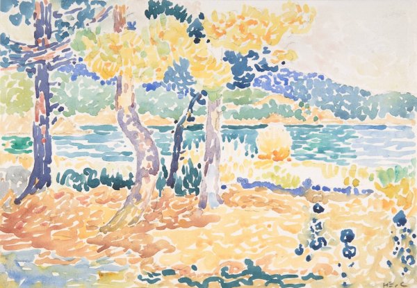 Main Product Photo of Pines on the Coastline Painting by Henri-Edmond Cross