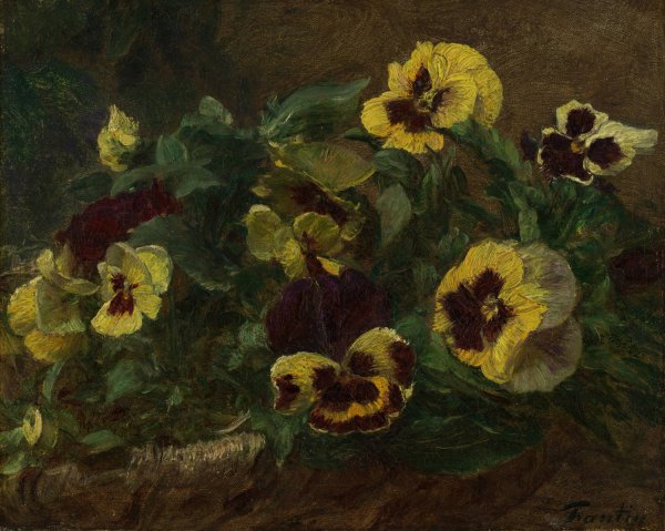 Main Product Photo of Pansies  Painting by Henri Fantin-Latour