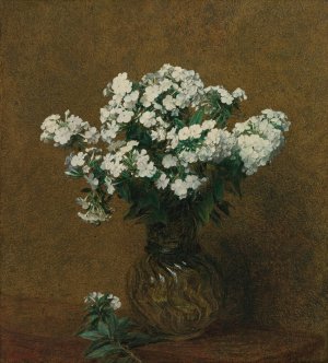Phlox Blancs Dans Un Vase by Henri Fantin-Latour Oil Painting