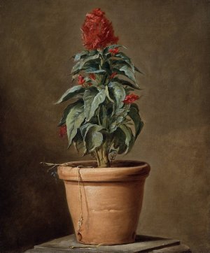A Potted Plant by Henri-Horace Roland Delaporte Oil Painting