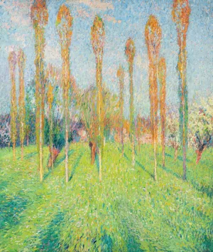 Prairie ensoleillee aux peupliers by Henri Martin Oil Painting