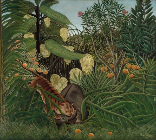 Main Product Photo of Fight between a Tiger and a Buffalo  Painting by Henri Rousseau