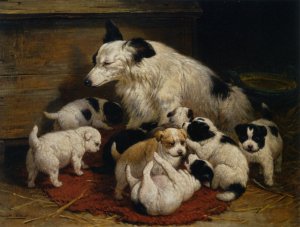 A Dog and Her Puppies