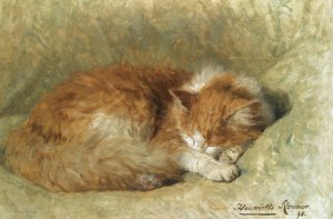 A Sleeping Cat by Henriette Ronner-Knip Oil Painting