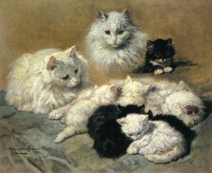Cats and Kittens