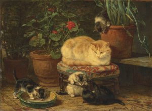 Kittens At Play by Henriette Ronner-Knip Oil Painting