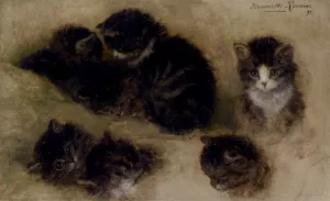 Studies of Kittens by Henriette Ronner-Knip Oil Painting