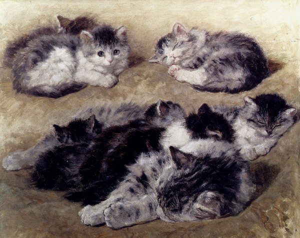 Main Product Photo of Study of Cats  Painting by Henriette Ronner-Knip