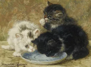 Three Kittens by Henriette Ronner-Knip Oil Painting