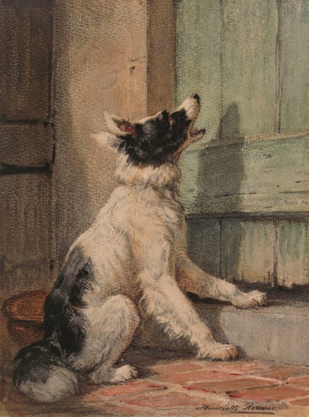 Waiting  by Henriette Ronner-Knip - Hand-Painted Oil Painting Reproduction