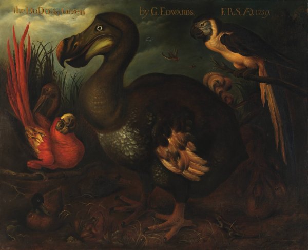 The Dodo and Given  by Henrik Gronvold - Hand-Painted Oil Painting Reproduction