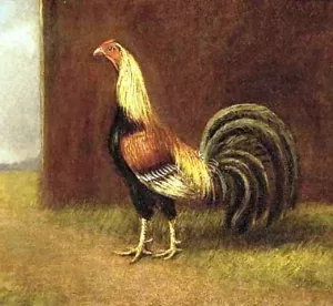 Game Cock by Henry Alken - Oil Painting Reproduction