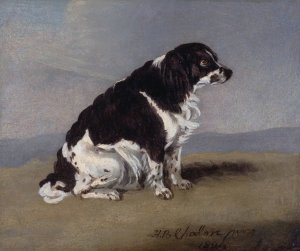The Duchess of York's Spaniel by Henry Bernard Chalon Oil Painting