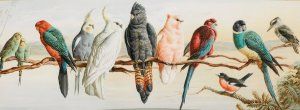 An Australian Eleven by Henry Bright Oil Painting
