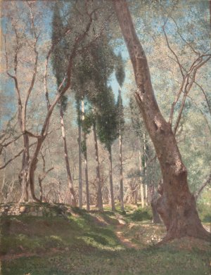 Oliviers a Menton by Henry Brokman Oil Painting