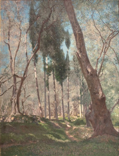 Oliviers a Menton  by Henry Brokman - Hand-Painted Oil Painting Reproduction