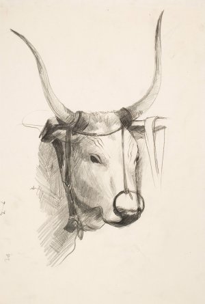 Bull's Head by Henry Ericsson Oil Painting