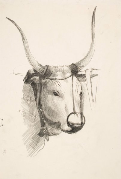 Bull's Head by Henry Ericsson - Hand-Painted Oil Painting Reproduction