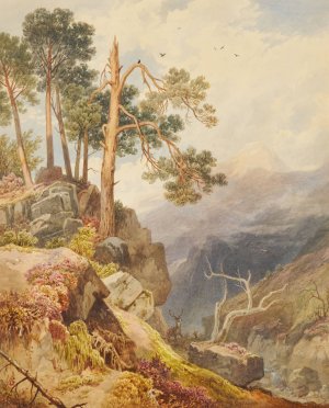 Killiecrankie Pass by Henry Gastineau Oil Painting
