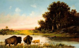 Buffalo by the River by Henry Herman Cross Oil Painting