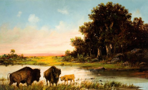 Buffalo by the River  by Henry Herman Cross - Hand-Painted Oil Painting Reproduction