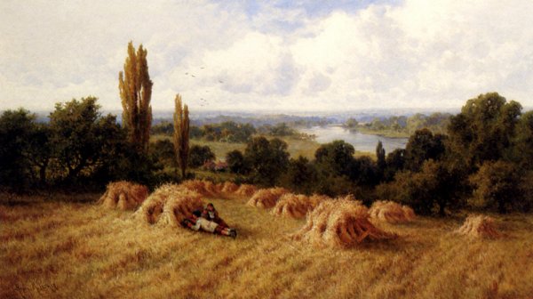 A Corn Field, Chertsey-On-Thames, Surrey