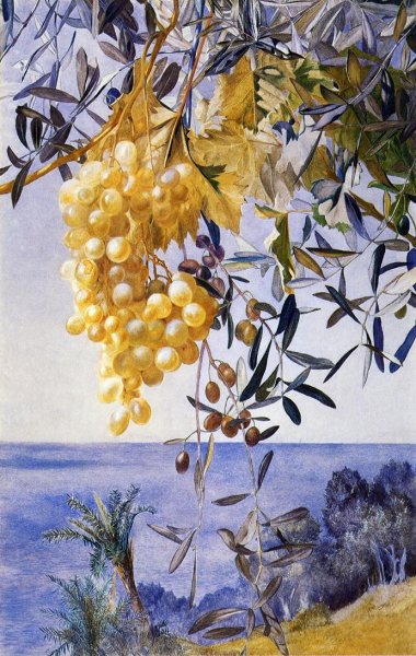 Main Product Photo of A Cluster of Grapes Painting by Henry Roderick Newman