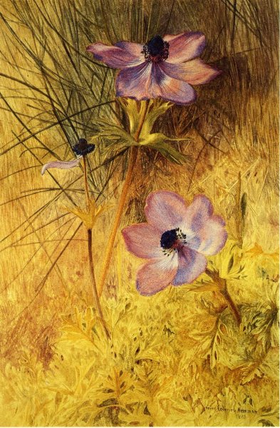 Main Product Photo of Florentine Wild Anemones Painting by Henry Roderick Newman