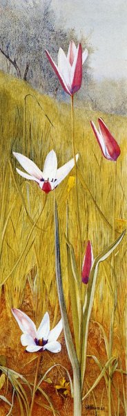 Main Product Photo of Flowers in a Landscape Painting by Henry Roderick Newman