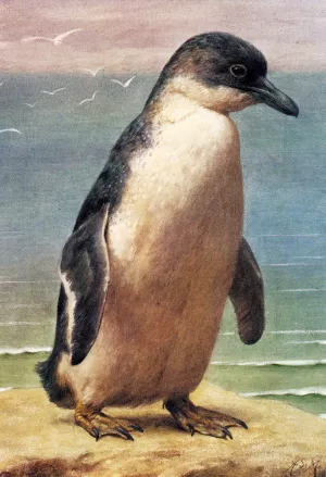 Study of a Penguin painting by Henry Stacy Marks