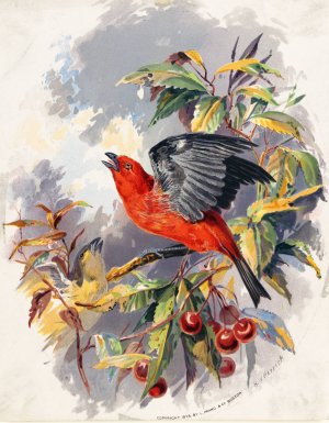 Birds II by Henry Walker Herrick Oil Painting