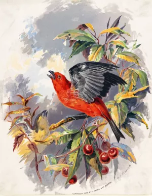 Birds II by Henry Walker Herrick Oil Painting