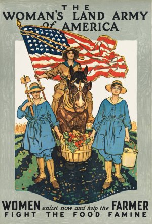 The woman's land army of America. Women enlist now and help the farmer fight the food famine by Herbert Paus Oil Painting